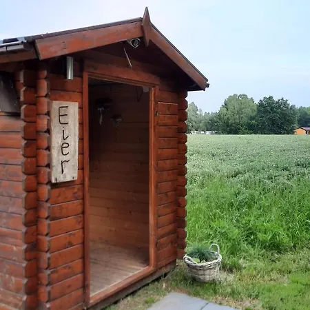 Seestern - Am Quendorfer