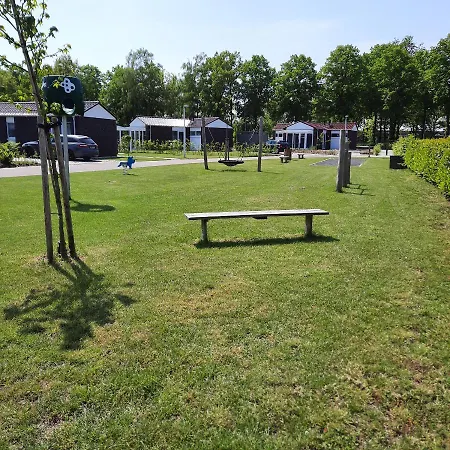 Seestern - Am Quendorfer Schuettorf