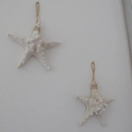 Seestern - Am Quendorfer