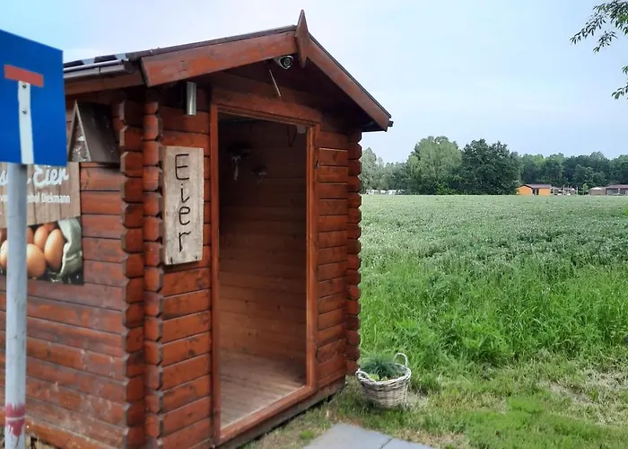 Seestern - Am Quendorfer